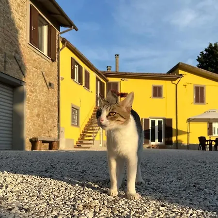 il Podere La Casina-2